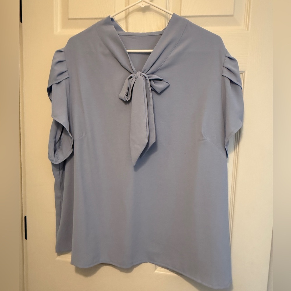 Powder blue top with great sleeves!
